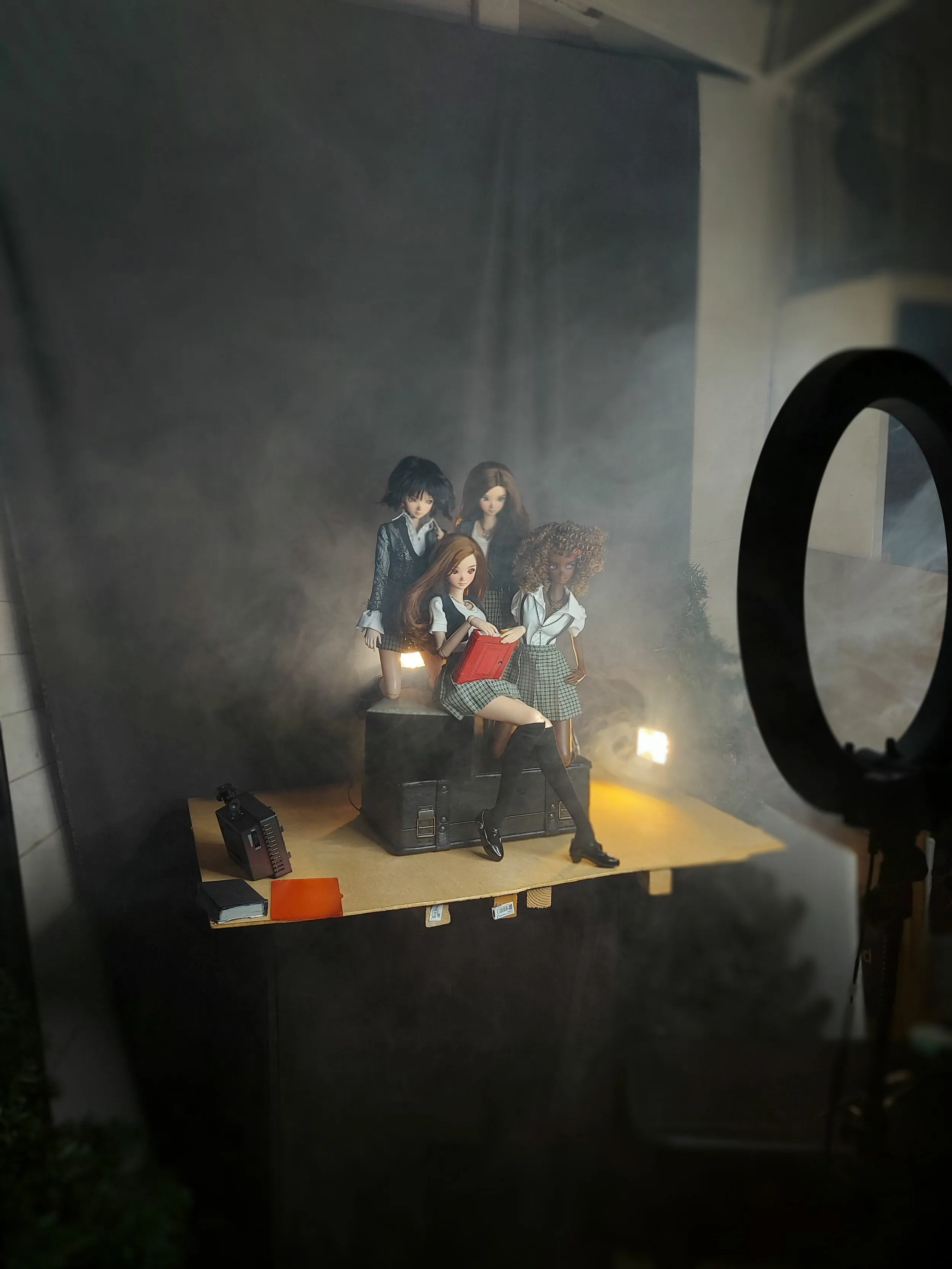 Leisure of Dolls